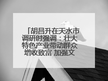 胡昌升在天水市调研时强调：壮大特色产业带动群众增收致富 加强文物保护推动文化创新发展